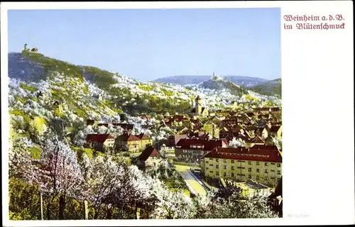 Ak Weinheim an der Bergstraße Baden, Panorama, Blütenschmuck