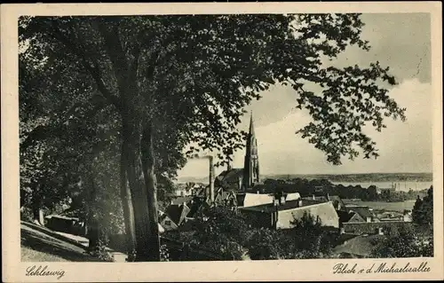 Ak Schleswig an der Schlei, Blick v.d. Michaelisallee, Kirche, Panorama