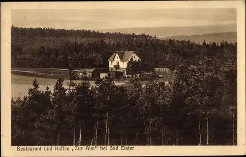 Ak Bad Elster im Vogtland, Restaurant und Kaffee Zur Alm, Wald, Panorama