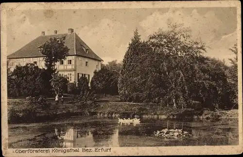 Ak Bleicherode am Harz, Oberförsterei Königsthal