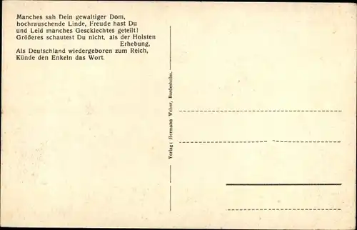 Ak Bordesholm in Holstein, Alte 600 jährige Linde, Baum