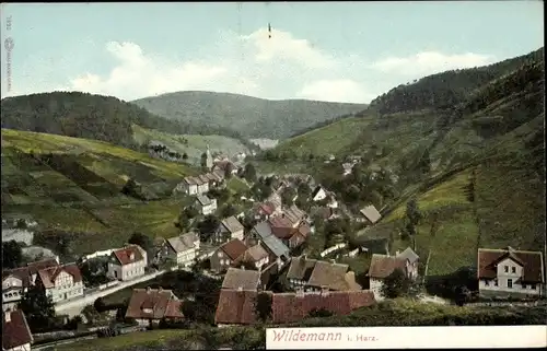 Ak Wildemann Clausthal Zellerfeld im Oberharz, Panorama von oben
