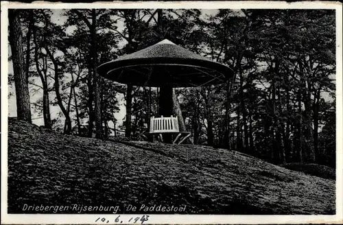 Ak Driebergen Rijsenburg Utrecht Niederlande, De Paddestoel