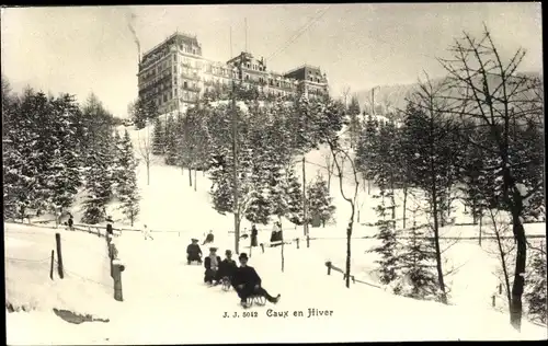 Ak Caux Kanton Waadt, Palace Hotel, Schlittenfahrt im Winter