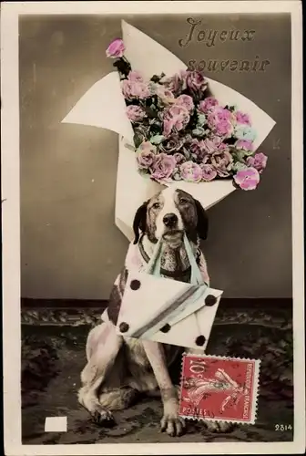 Ak Glückwunsch, Hund mit Blumenstrauß, Brief