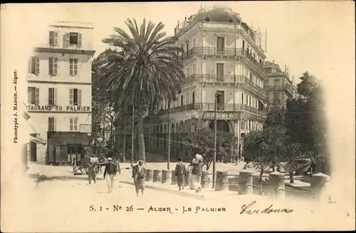 Ak Algier Alger Algerien, Le Palmier