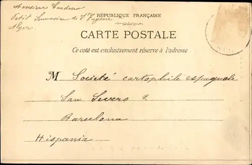 Ak Algier Alger Algerien, Le Palmier