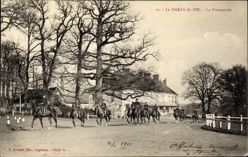 Ak Le Pin au Haras Haras du Pin Orne, Le Promenade, Reiter