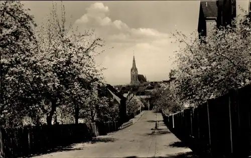 Ak Leisnig in Sachsen, Straßenansicht, blühende Bäume, Kirche