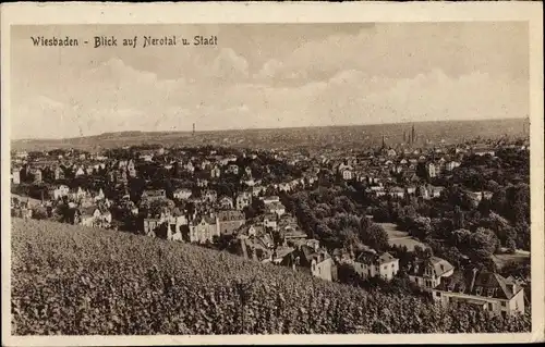 Ak Wiesbaden in Hessen, Nerotal, Panorama