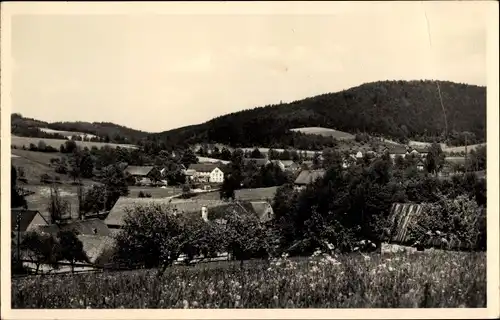 Ak Untergeißendorf Berga an der Weißen Elster Thüringen, Häuser, Felder, Wald