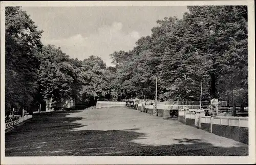 Ak Nordhausen am Harz, Am Gehege