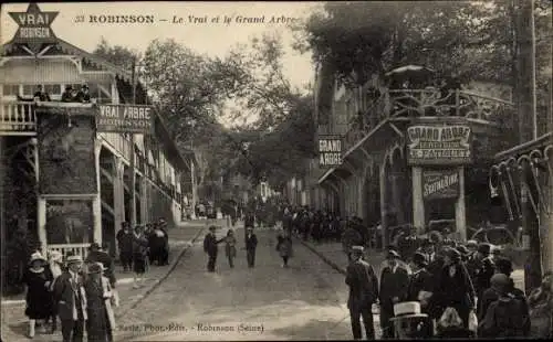 Ak Robinson Hauts de Seine, Le Vrai et le Grand Arbre