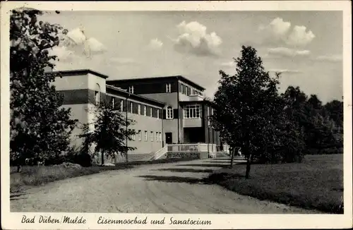 Ak Bad Düben an der Mulde Sachsen, Eisenmoorbad und Sanatorium