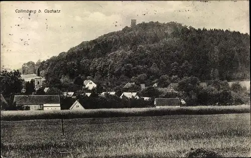 Ak Collm Wermsdorf Nordsachsen, Panorama vom Ort mit Collmberg, Turm