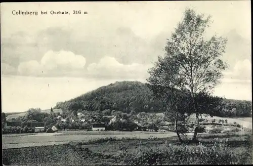 Ak Collm Wermsdorf bei Oschatz, Teilansicht mit Blick auf den Collmberg