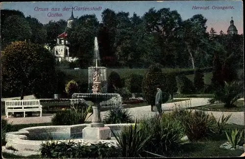 Ak Gotha Thüringen, Partie in der Herzogl. Orangerie, Springbrunnen, Turm mit Uhr