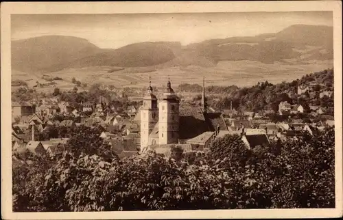 Ak Schmalkalden in Thüringen, vom Volksgarten gesehen, Kirchtürme