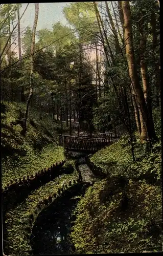 Ak Oosterbeek Renkum Gelderland, Mariendaal, Zwitsersche partij