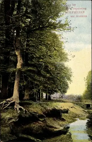 Ak Wolfheze Gelderland, Brug bij Uitspanning