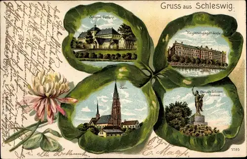 Litho Schleswig an der Schlei, Schloss Gottorf, Dom, Regierungsgebäude