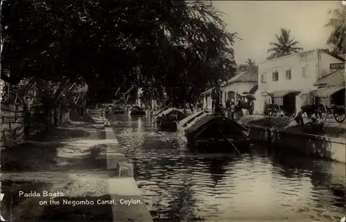 Ak Negombo Sri Lanka, Padda Boats on the Negombo Canal