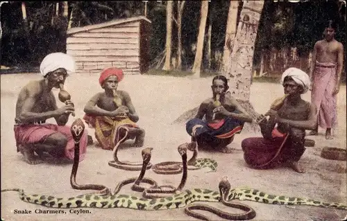 Ak Ceylon Sri Lanka, Snake Charmers, Schlangenbeschwörer