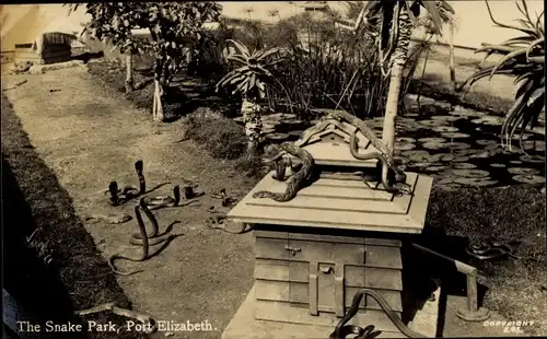 Ak Port Elizabeth Südafrika, Snake Park