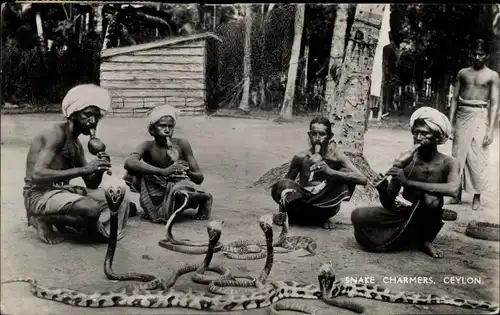 Ak Ceylon Sri Lanka, Snake Charmers, Schlangenbeschwörer, Kobras