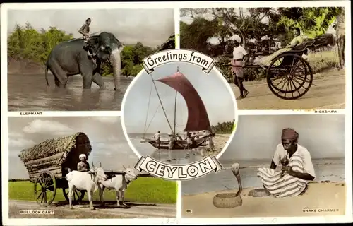 Ak Sri Lanka, Elephant, Rickshaw, Bullock Cart, Snake Charmer, Native Fishing Canoe