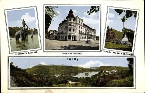 Ak Kandy Sri Lanka Ceylon, Panorama, Elephants Bathing, Queens-Hotel, Temple