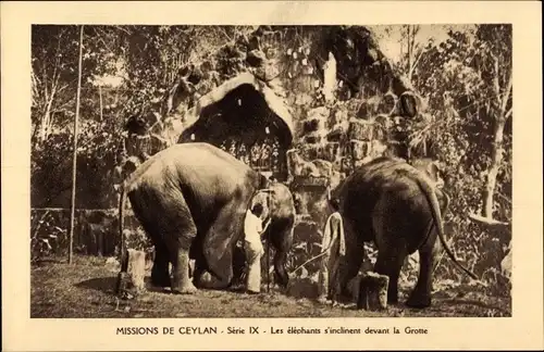 Ak Ceylon Sri Lanka, Missions de Ceylan, Les elephants s'inclinent devant la Grotte