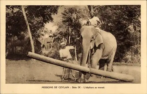 Ak Ceylon Sri Lanka, Missions de Ceylan, L'elephant au travail