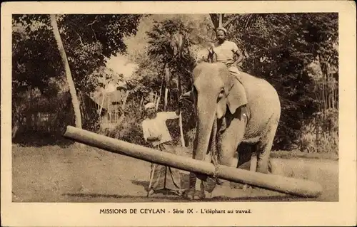 Ak Ceylon Sri Lanka, Missions de Ceylan, L'elephant au travail