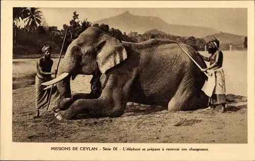 Ak Sri Lanka Ceylon, Missions de Ceylan, L'elephant se prepare a recevoir son chargement