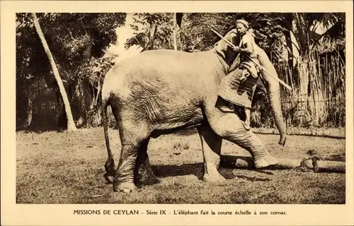 Ak Ceylon Sri Lanka, Missions de Ceylan, L'elephant fait la courte echelle a son cornac