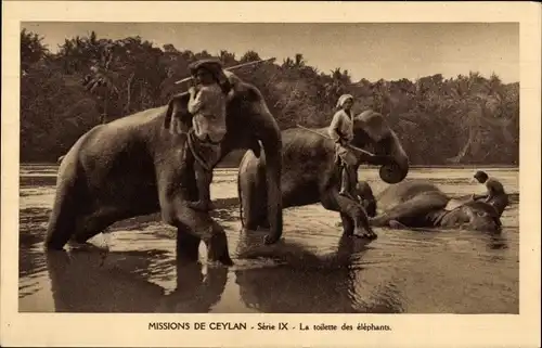 Ak Ceylon Sri Lanka, Missions de Ceylan, La toilette des elephants