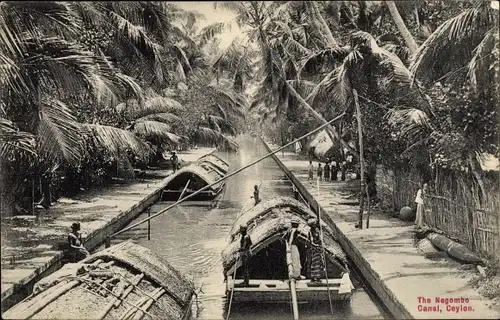 Ak Negombo Sri Lanka Ceylon, Canal