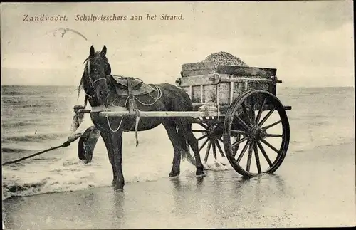 Ak Zandvoort aan Zee Nordholland Niederlande, Schelpenvisscher, Muschelsammler, Pferdewagen