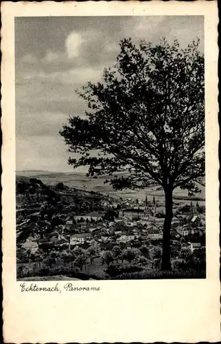 Ak Echternach Luxemburg, Panoramaansicht der Ortschaft, Felder