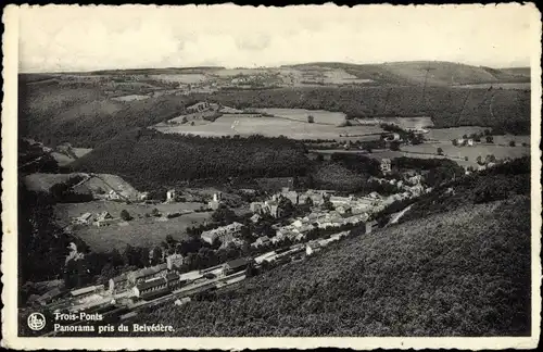 Ak Trois Ponts Dreibrücken Wallonien Lüttich, Panorama pris du Belvedere, Bahnhof