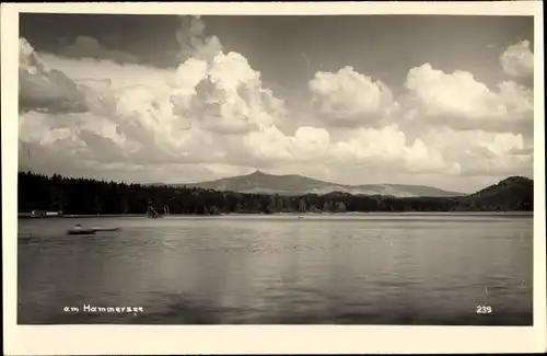 Foto Ak Hamr na Jezeře Hammer am See Region Reichenberg, Hammersee