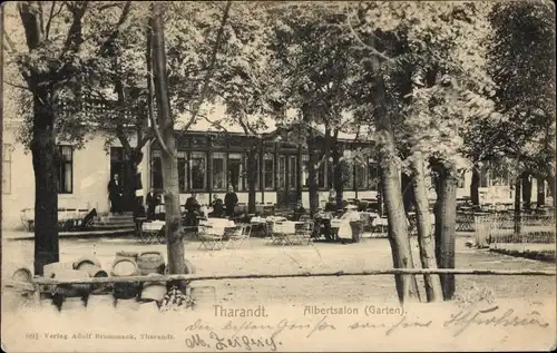 Ak Tharandt im Erzgebirge, Albertsalon, Garten