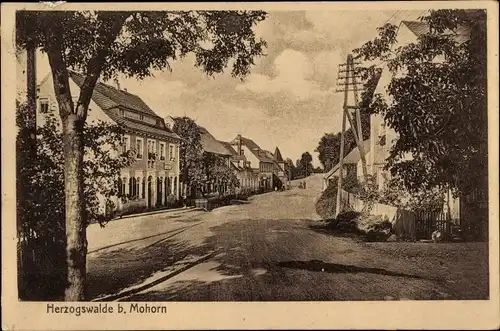 Ak Herzogswalde Wilsdruff Sachsen, Straßenpartie