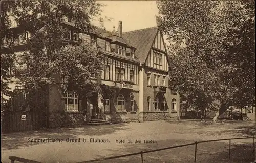 Ak Bad Grund im Harz, Hotel zu den Linden