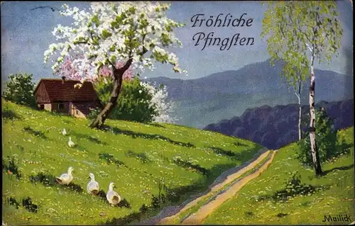 Künstler Ak Mailick, Glückwunsch Pfingsten, Dorfpartie, Blühende Bäume, Birken, Gänse