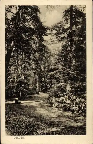 Ak Delden Gelderland, Waldpartie