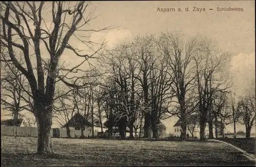 Ak Asparn an der Zaya in Niederösterreich, Schlosswiese