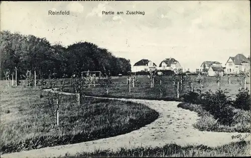 Ak Reinfeld in Holstein, Partie am Zuschlag