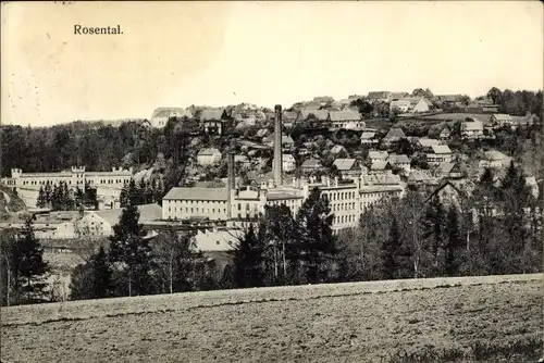 Ak Rosental Hirschfelde Zittau in Sachsen, Panorama